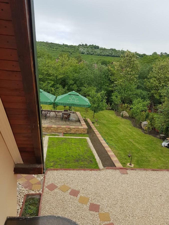 Pensiunea Brazi Turda Exteriér fotografie